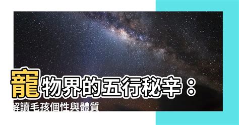 寵物行業 五行|【寵物行業 五行】寵物界的五行秘辛：解讀毛孩個性與體質！